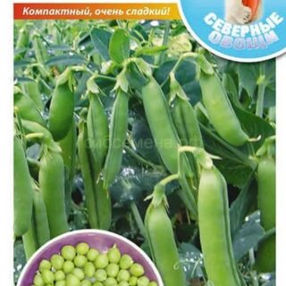 Горох Самый ранний лущильный 8гр (НК)