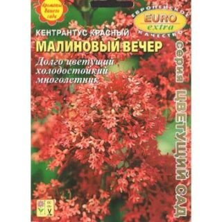 Кентрантус Малиновый вечер (Аэлита)