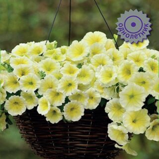 Петуния Изи Вейв Еллоу F1 ампельная (П)