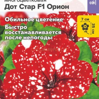 Петуния Дот Стар Орион (Алтай)