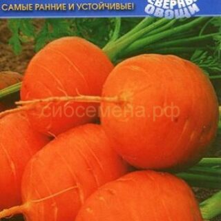 Морковь Полярная клюква (НК)