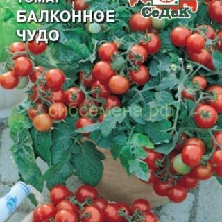 Томат БАЛКОННОЕ ЧУДО /СеДеК/