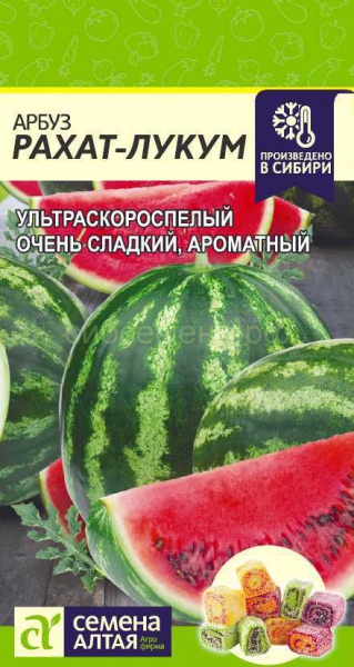 Арбуз Рахат-Лукум /Алтай/