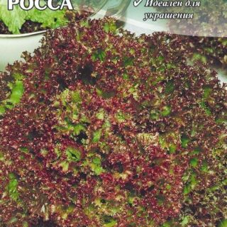 Салат ЛОЛЛО РОССА /Сем Алт/цп