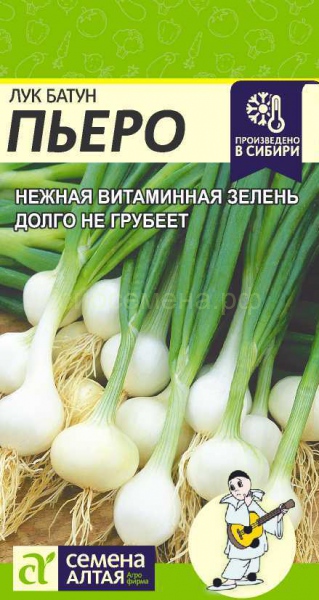 Лук Батун Пьеро /Алтай/