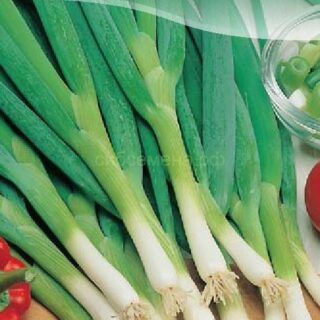 Лук Батун Русский Зимний/цв/цп 0,5 гр.