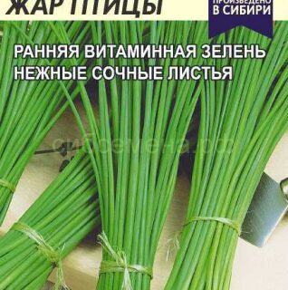 Лук на зелень Перо Жар Птицы /Алтай/