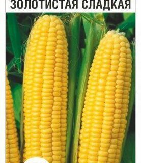 Кукуруза Золотистая сладкая /СибСад/