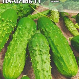 Огурец Мальчик-с-пальчик/Сем Алт/цп 5 шт.