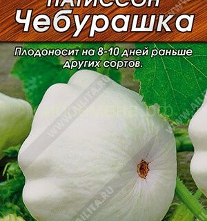 Патиссон Чебурашка/Аэлита/цп