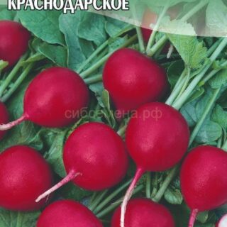 Редис Дуро Краснодарское/цв/Сем Алт/цп 2 гр.