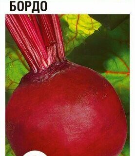 Свекла Бордо 2гр /Сиб сад/