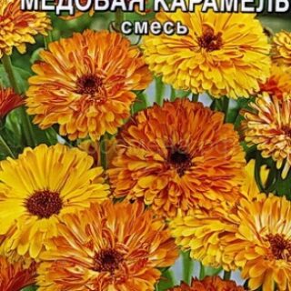 Календула МЕДОВАЯ КАРАМЕЛЬ смесь /Аэлита/цп