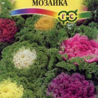 Капуста Декоративная Кружевная Мозаика/Гавриш/цп