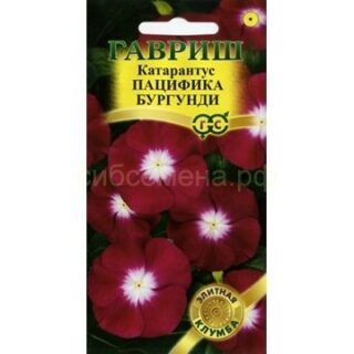 Катарантус Пацифика Бургундия (Гавриш)