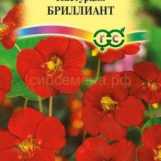 Настурция Бриллиант красная /Гавриш/цп 7шт.