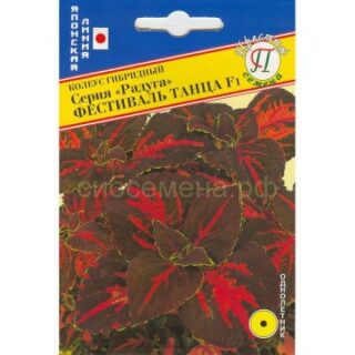 Колеус Радуга Фестиваль танца /Престиж/