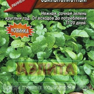 Кресс-салат ОБИЛЬНОЛИСТНЫЙ /Аэлита/