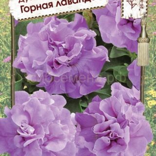 Петуния ГОРНАЯ ЛАВАНДА ДУО махр. /Премиум/