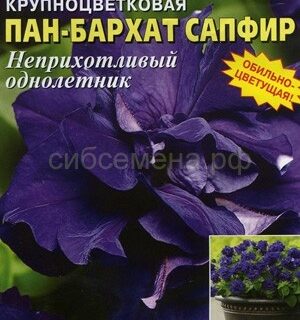 Петуния ПАН-БАРХАТ сапфир, махр./Евро/