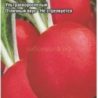 Редис АЛЕКС F1 /СибСад/