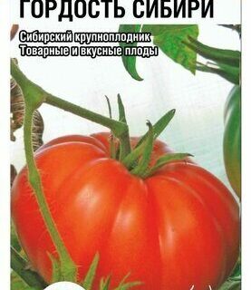 Томат ГОРДОСТЬ СИБИРИ /СибСад/