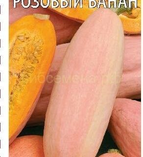 Тыква РОЗОВЫЙ БАНАН /Гавриш/