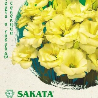 Эустома Эхо жетая /Гавриш/