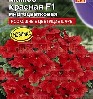 Петуния Мамбо F1 красная многоцветковая (Аэлита)