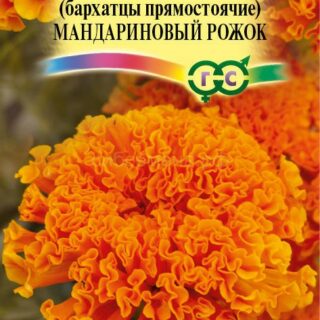 Бархатцы Мандариновый рожок прямостоячие (Гавр)