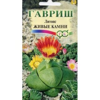 Литопс Живые камни (Гавр)