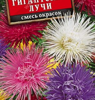 Астра Гигантские лучи смесь/Аэлита/