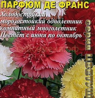 Гвоздика ШАБО ПАРФЮМ ДЕ ФРАНЦ смесь /Аэлита/
