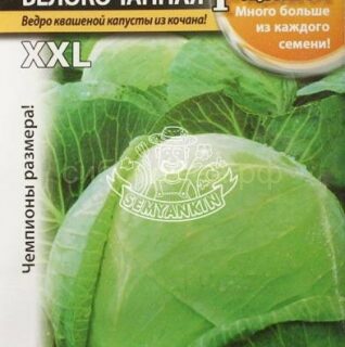 Капуста белокочанная РУССКИЙ РАЗМЕР /НК/