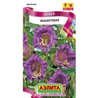 Кобея Фиолетовая /Аэлита/