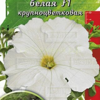 Петуния комплиментуния белая, крупноцветковая /Аэлита/