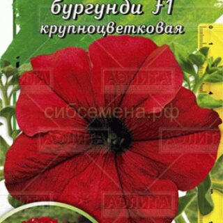 Петуния комплиментуния бургунди, крупноцветковая /Аэлита/