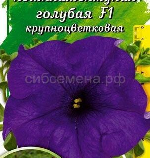 Петуния комплиментуния голубая, крупноцветковая /Аэлита/