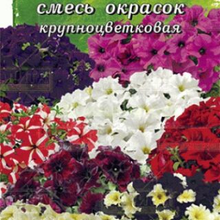 Петуния комплиментуния смесь окрасок, крупноцветковая /Аэлита/