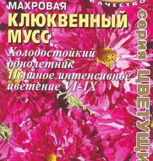Космея Клюквенный мусс, махровая /Аэлита/