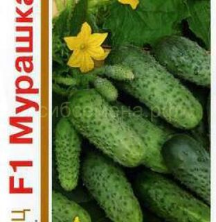 Огурец МУРАШКА  1+1/20шт./Гавриш/