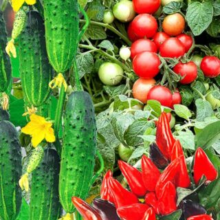 Набор Новогодний урожай (огурец, томат, перец) (УД)
