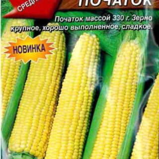 Кукуруза сахарная ЗОЛОТОЙ ПОЧАТОК./АЭЛИТА/