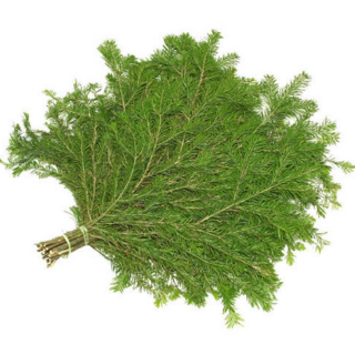 Веник Пихта в уп.