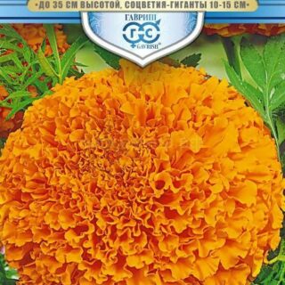 Бархатцы ЯНТАРЬ прямостоячие /Гавриш/