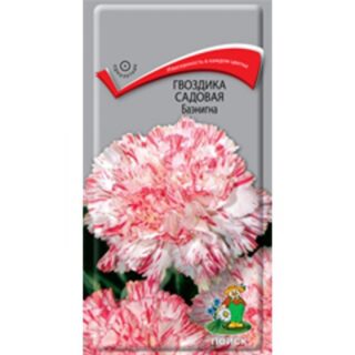Гвоздика садовая БАЭНИГМА /П/