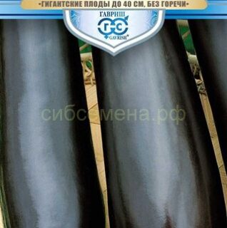 Баклажан ИЛЬЯ МУРОМЕЦ (Гавриш)