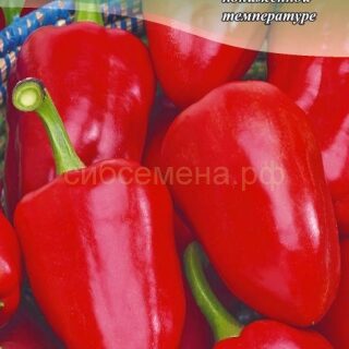 Перец МОРОЗКО /цв./