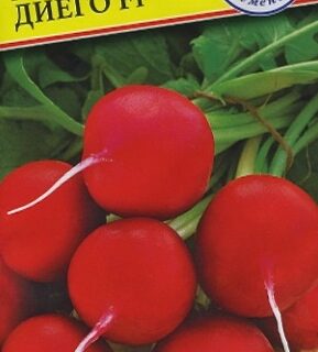 Редис ДИЕГО F1 голландия /Престиж/