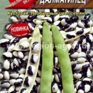 Фасоль Далматинец 5г овощная (Аэлита)